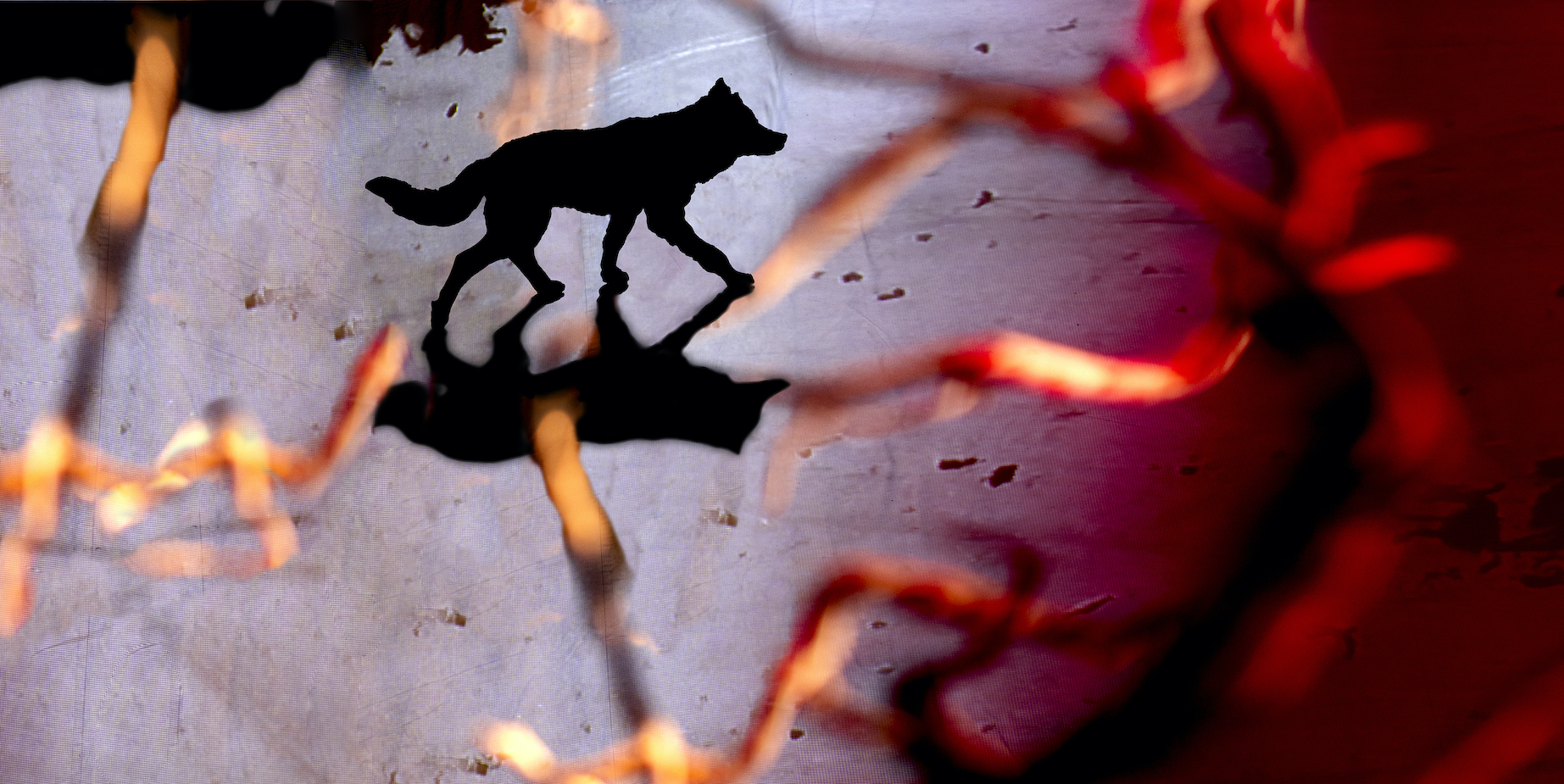 Campagnebeeld Het meisje, de jager en de wolf