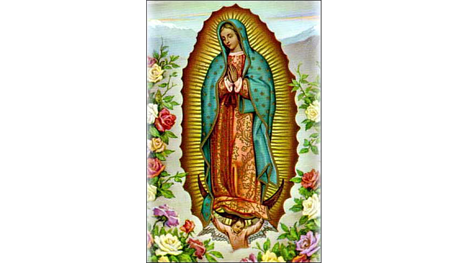 Heilige maagd van Guadalupe