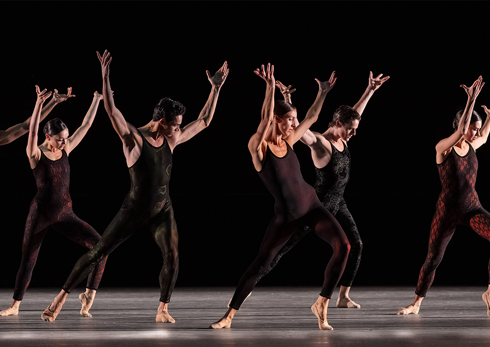 6 dansers met de handen in de lucht