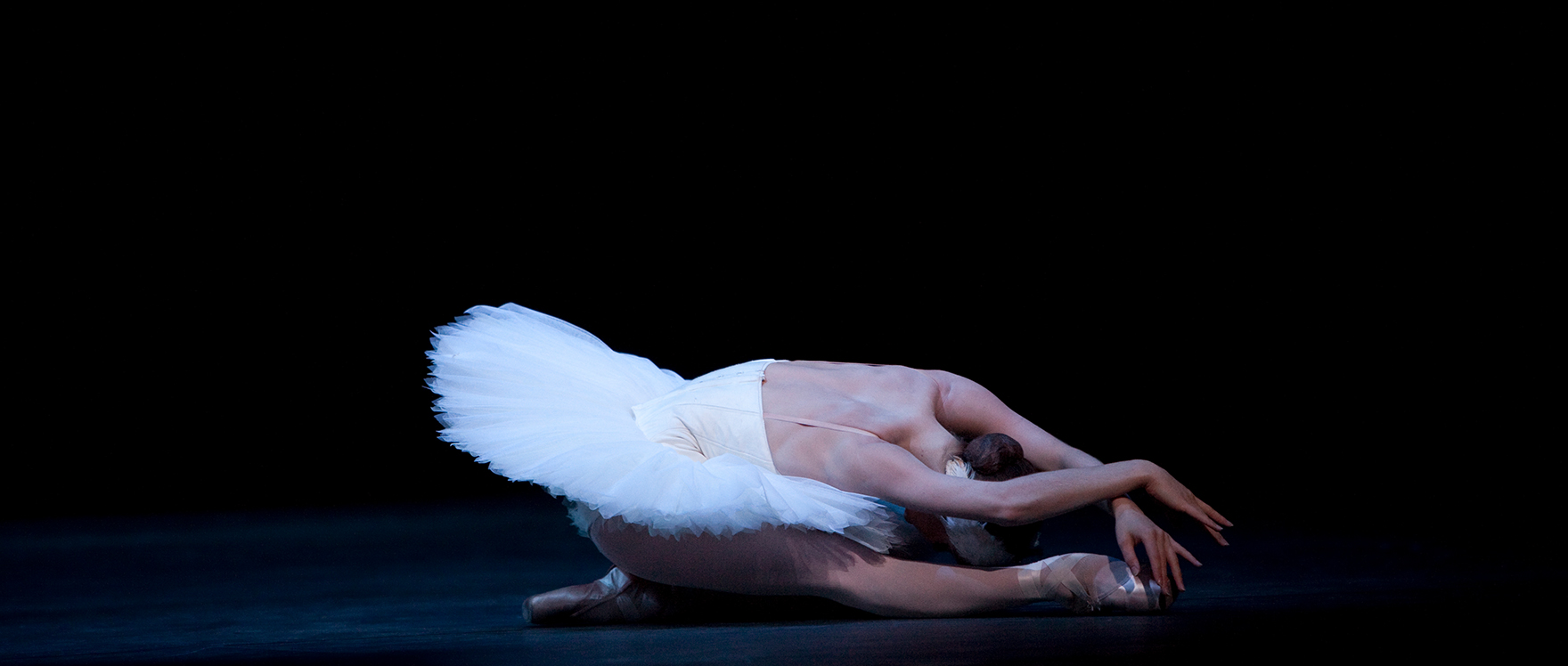 the dying swan - natalia makarova - YouTube