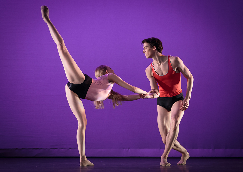 duet Junior Company with purple background