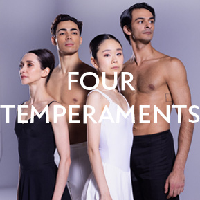 Four Temperaments campagnebeeld