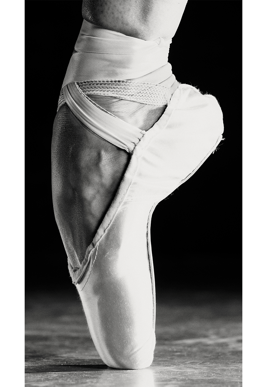 Close-up foto van een spitz