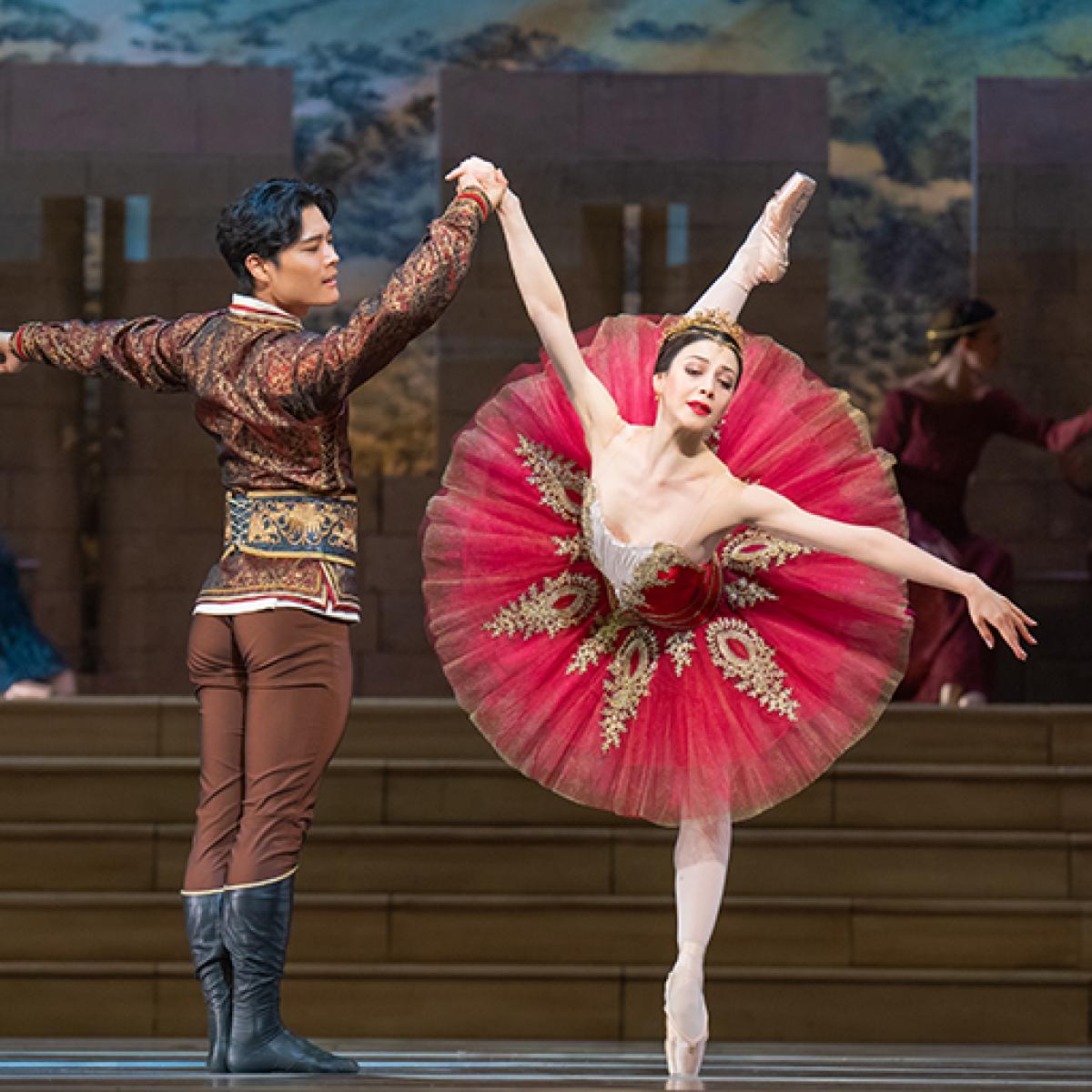 cascade Betrokken gekruld De tutu: Hoe een tule rok uitgroeide tot balletfenomeen | Nationale Opera &  Ballet