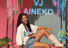 VJ Aineko