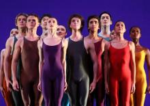 Junior Company: Largo