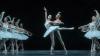 Daniel Camargo in La Bayadère