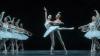 Daniel Camargo in La Bayadère