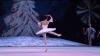 Het beroemde Bolshoi ballet uit Moskou