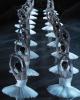 Zwanenmeer Het Nationale Ballet