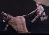 Dieren in ballet Don Quichot