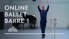 Ballet Barre 1 (Online Balletles) 