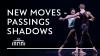 New Moves - Passing Shadows