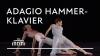 Adagio Hammerklavier - Hans van Manen