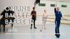 Online Ballet Barre 12 - Ernst Meisner