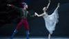 Het Nationale Ballet - Notenkraker en Muizenkoning - foto Angela Sterling - Nut2015PG 0448.