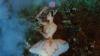 Publiciteitsbeeld voor The Sleeping Beauty